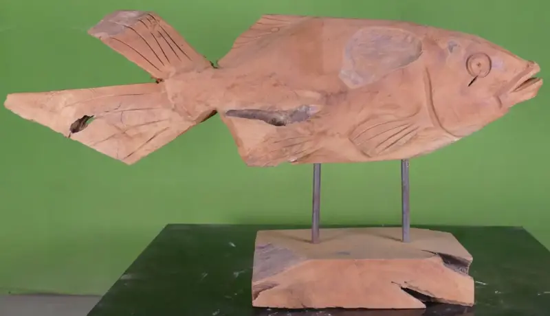 Product image 7 of the product “carved koi wood on stand M made from teak root pieces, 64cm length ”